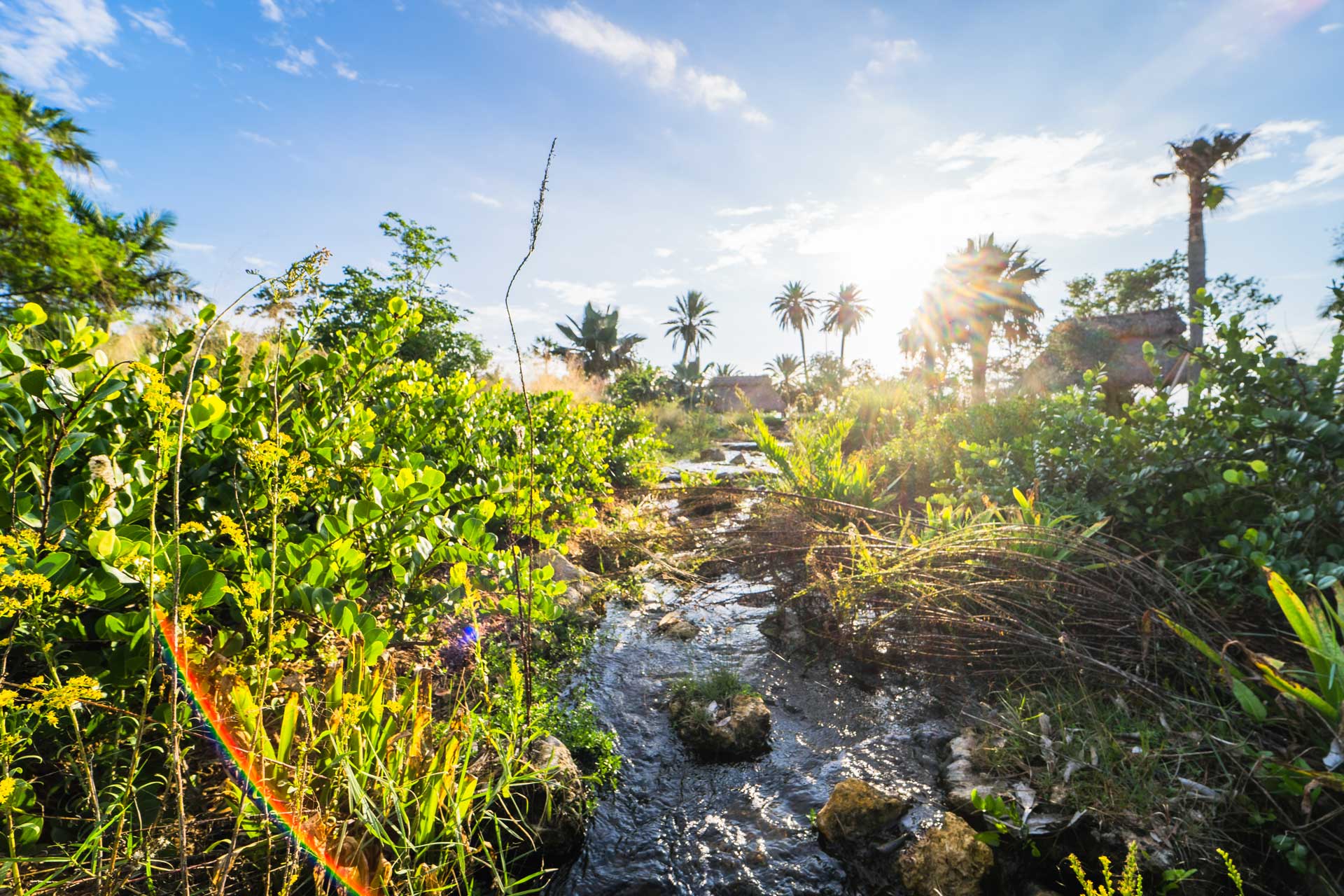 Spring Break in Southwest Florida: Weathering the Storm and Finding the Silver Lining
