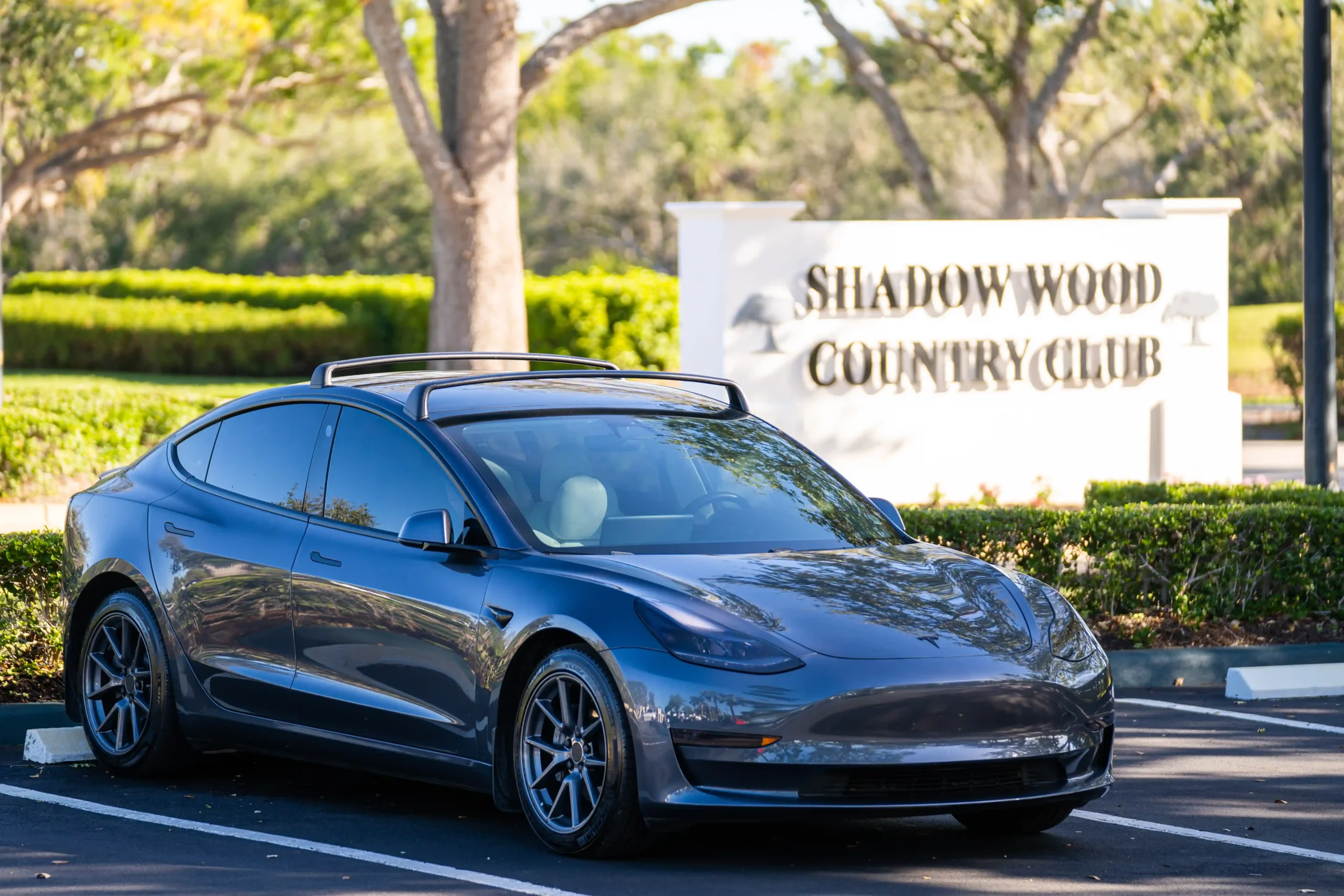 Emerging Technologies: Electric Vehicles and Artificial Intelligence